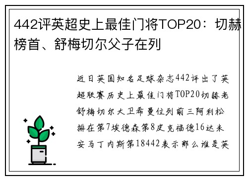 442评英超史上最佳门将TOP20：切赫榜首、舒梅切尔父子在列